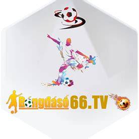 ảnh chụp màn hình bóng đá số dữ liệu 66 net