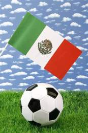 ảnh chụp màn hình bóng đá vô địch quốc gia mexico