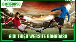 ảnh chụp màn hình bongdaso dữ liệu bóng đá số 1