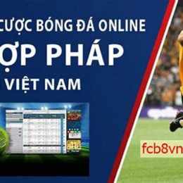 app ca do bong da