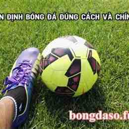buncha bóng đá