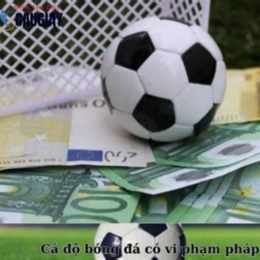cá độ bóng đá có vi phạm pháp luật không