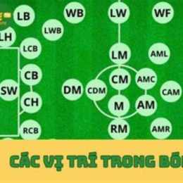 các vị trí bóng đá