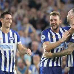 câu lạc bộ bóng đá brighton & hove albion