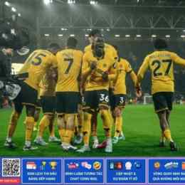 cầu lạc bộ bóng đá wolverhampton wanderers