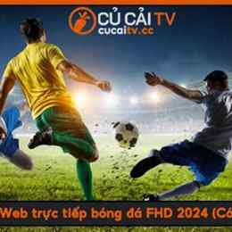 cucai.co bóng đá