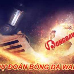 du doan bong da cung chuyen gia