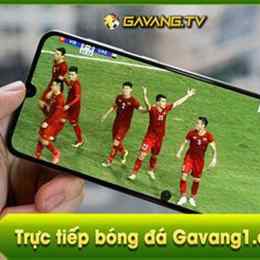 gavang trực tiếp bóng đá