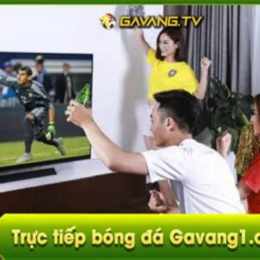 gavangtv bóng đá