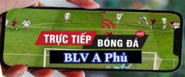 giao diện app blv bóng đá vtv