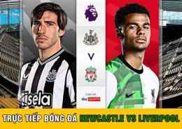 giao diện app bóng đá newcastle