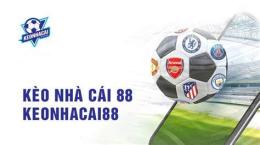 giao diện app bóng đá nhà cái 88