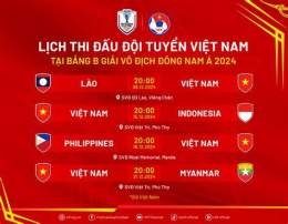 giao diện app bóng đá việt nam lượt về