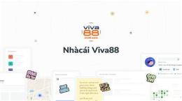 giao diện app bong da viva88 net