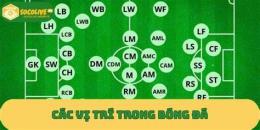 giao diện app các vị trí trong bóng đá