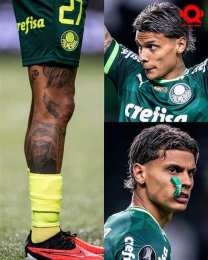 giao diện app câu lạc bộ bóng đá palmeiras