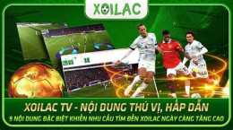 giao diện app chuoichien tv trực tiếp bóng đá