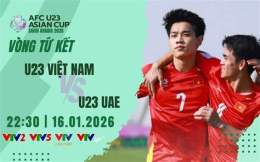 giao diện app đá bóng việt nam uae