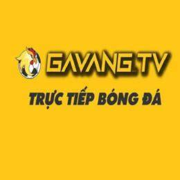giao diện app gavangtv truc tiep bong da