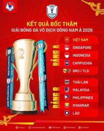 giao diện app giải bóng đá hyundai cup 2026
