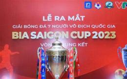 giao diện app giải bóng đá vô địch quốc gia pháp