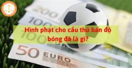 hướng dẫn sử dụng bán độ bóng đá là gì