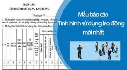 hướng dẫn sử dụng báo bóng đá mới nhất
