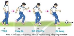 hướng dẫn sử dụng bóng đá 2 người