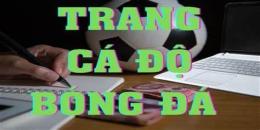 hướng dẫn sử dụng bong da 24 gio
