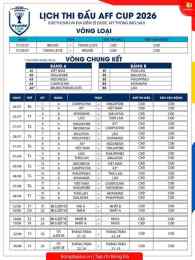 hướng dẫn sử dụng bong da aff cup