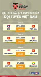 hướng dẫn sử dụng bóng đá aff