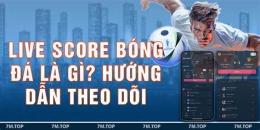 hướng dẫn sử dụng bóng đá net live score