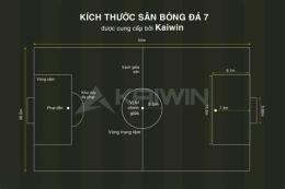 hướng dẫn sử dụng bóng đá sân 7