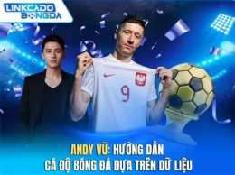hướng dẫn sử dụng bóng đá số - dữ liệu 1/2