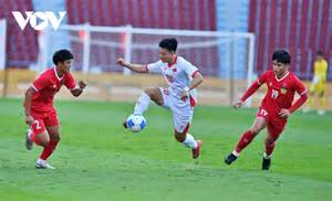 hướng dẫn sử dụng bong da truc tiep viet nam