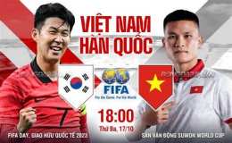 hướng dẫn sử dụng bong da viet nam han quoc