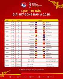 hướng dẫn sử dụng các giải đấu bóng đá việt nam 2026