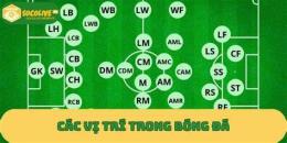 hướng dẫn sử dụng các vị trí trong bóng đá