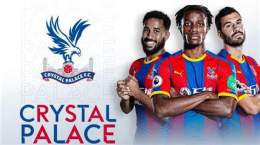 hướng dẫn sử dụng câu lạc bộ bóng đá crystal palace