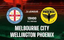 hướng dẫn sử dụng câu lạc bộ bóng đá wellington phoenix