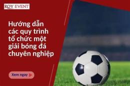 hướng dẫn sử dụng chuyên gia bóng đá