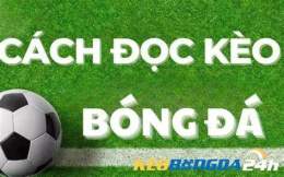 hướng dẫn sử dụng đá bóng thế giới
