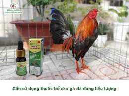 hướng dẫn sử dụng đá gà sao bông 67
