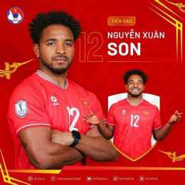 hướng dẫn sử dụng đội tuyển bóng đá việt