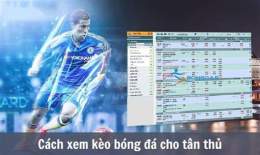 hướng dẫn sử dụng dự đoán kèo bóng đá