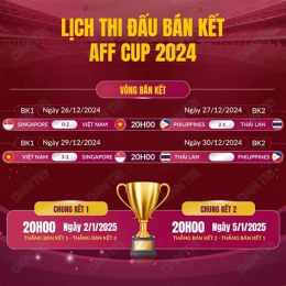 hướng dẫn sử dụng giải bóng đá aff cup