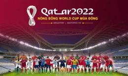 hướng dẫn sử dụng giải bóng đá qatar stars