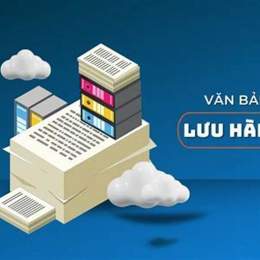 luu hanh noi bo bong da