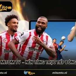 mitom tv1 tv trực tiếp bóng đá