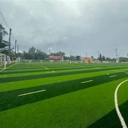 sân bóng đá phủi sài gòn